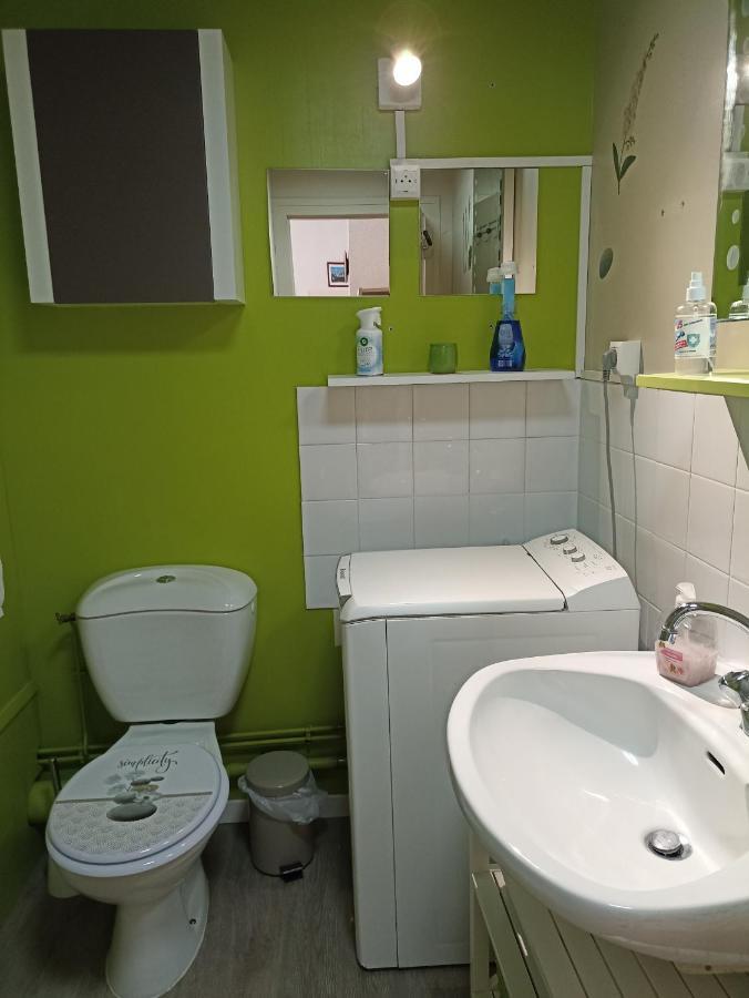 La Voliere Des Pics Apartment Льо Мон-Дор Екстериор снимка